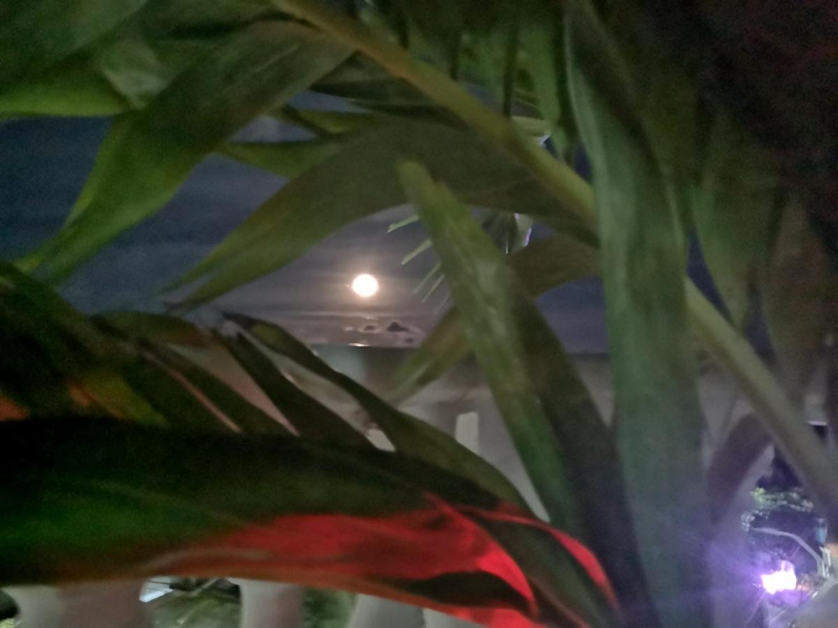 Apartamentos Turisticos Agua Luna ซานอันเดรส ภายนอก รูปภาพ